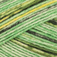 Gras (622)