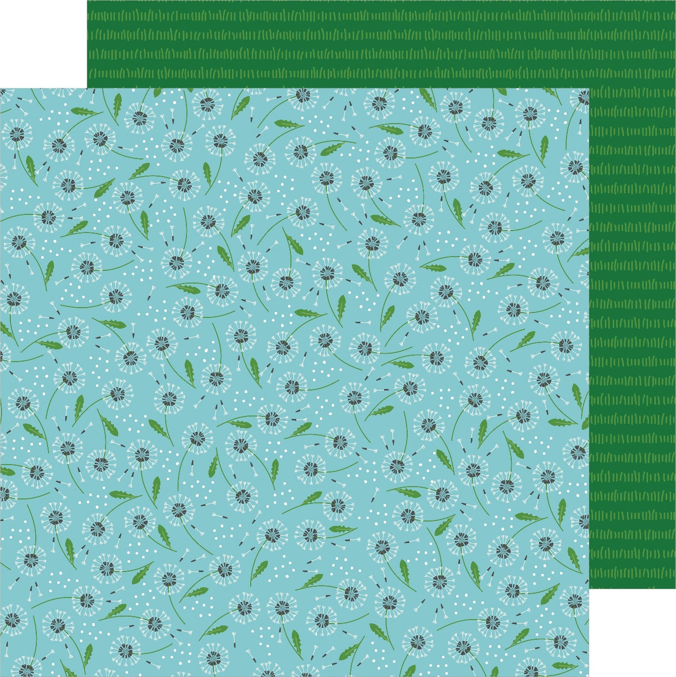 American Crafts Sun & Fun Double-Sided Cardstock 12"X12" 25/Pkg - Make A Wish