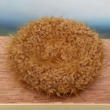 Spring Chicken & Nest - Chocolate Orange Cover
