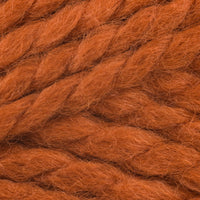 Pumpkin (133)