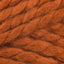 Pumpkin (133)