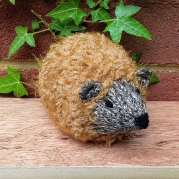 HedgeHUG - Chocolate Orange Cover