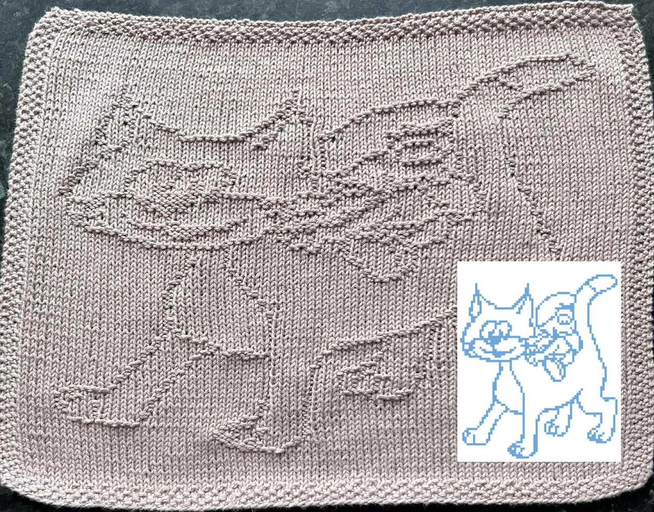 Nr. 900 Azrael the Cat 89 stitches