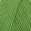 Leaf (3388)