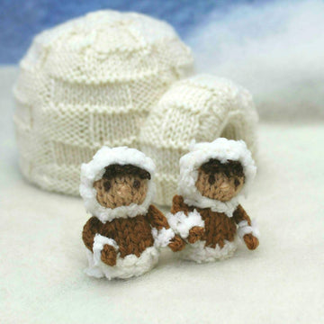 Visiting the North Pole
