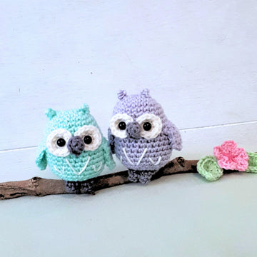 Owls couple on a branch