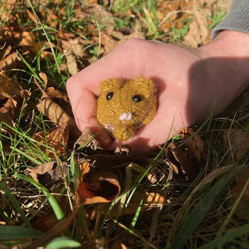 Sleepy Dormouse