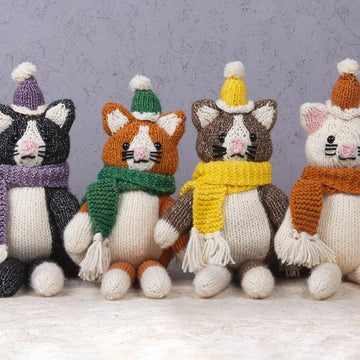 Cat in a Woolly Hat