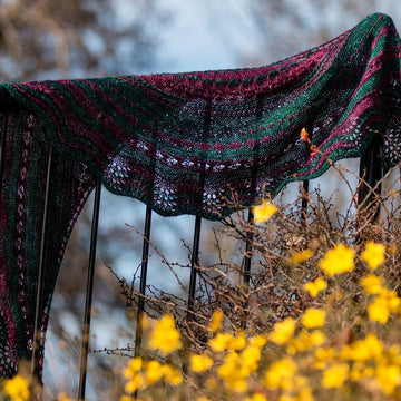 Dandelion Stitch Sampler Shawl