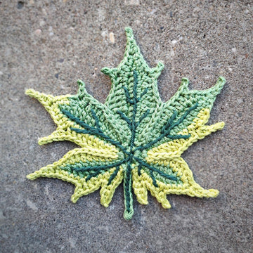 Maple Leaf