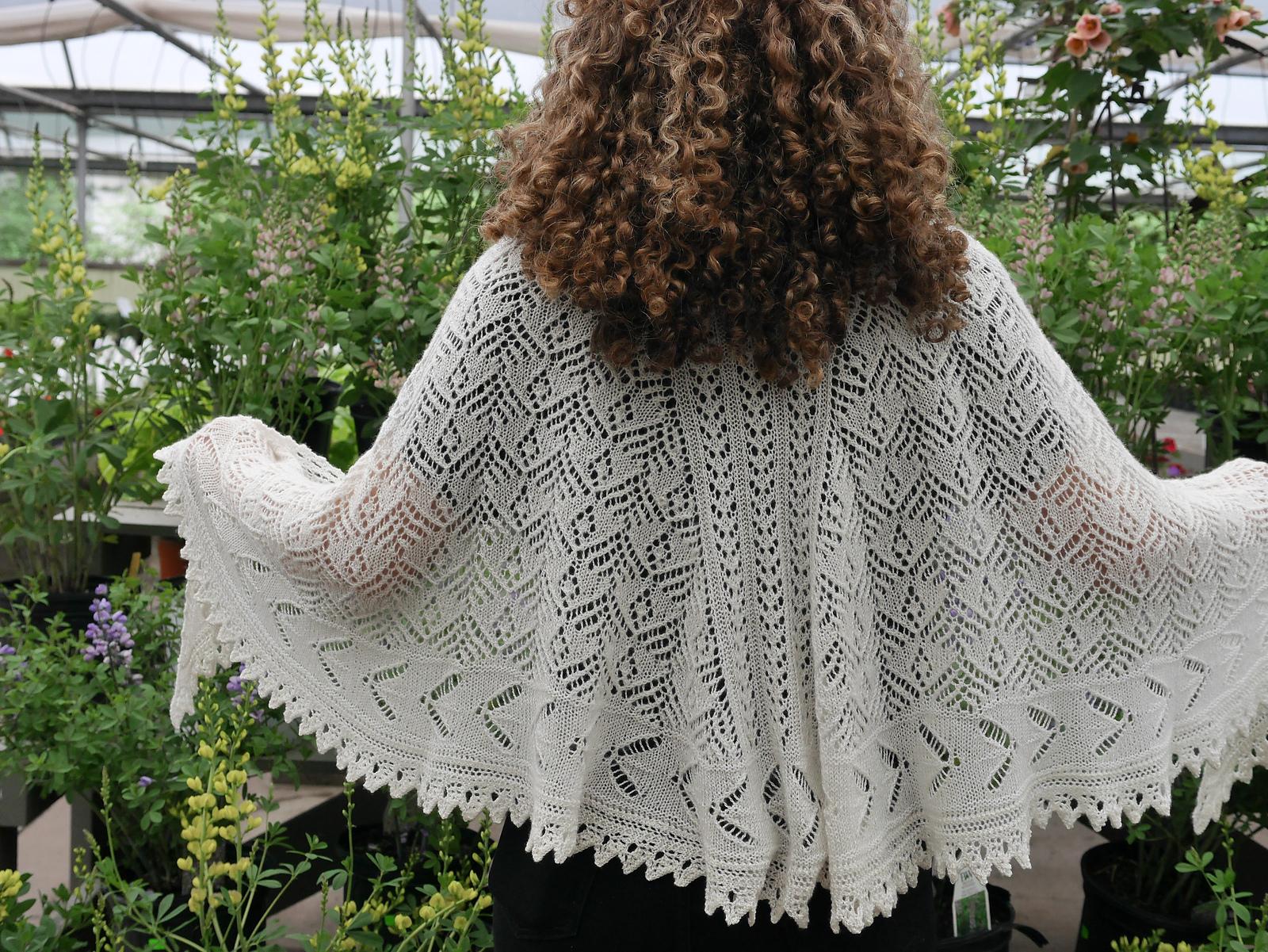 Lacewing