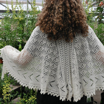 Lacewing