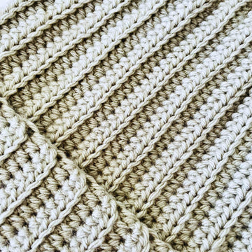 Ribbed Cat Ear Beanie