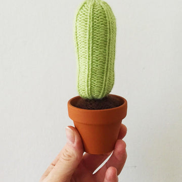 Baby Cactus Garden