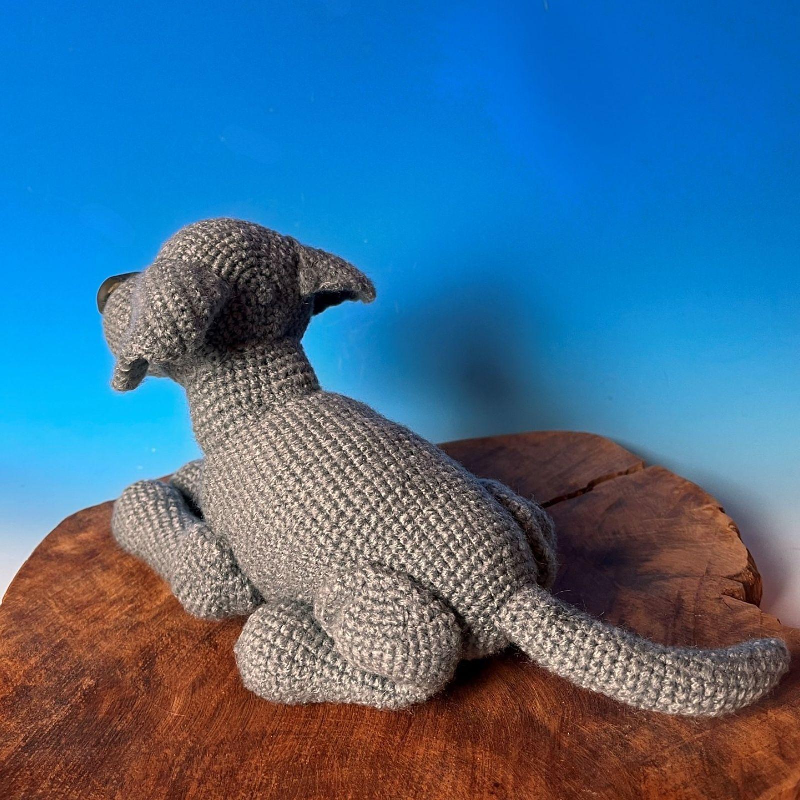 Labrador liegend