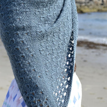 Aleida Shawl