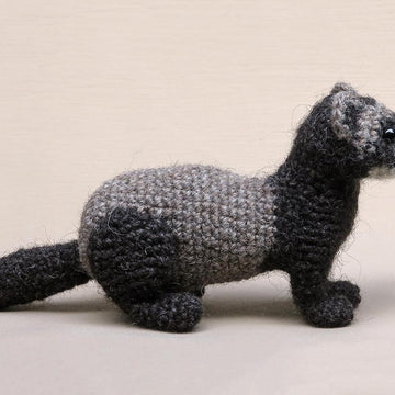 Bolhus the realistic ferret or polecat