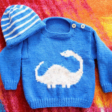 Dinosaur Sweater - Diplodocus