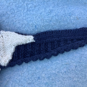 Soaring Swallow