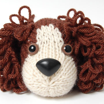 Daniel the Spaniel