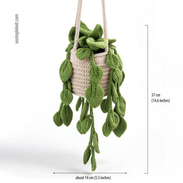 Knitted Pothos Hanging Plant