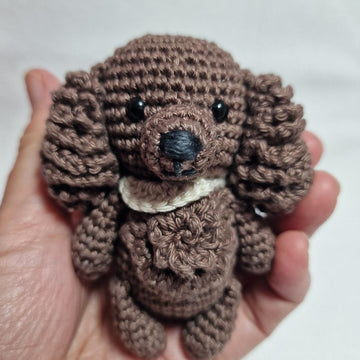 Spaniel Dog