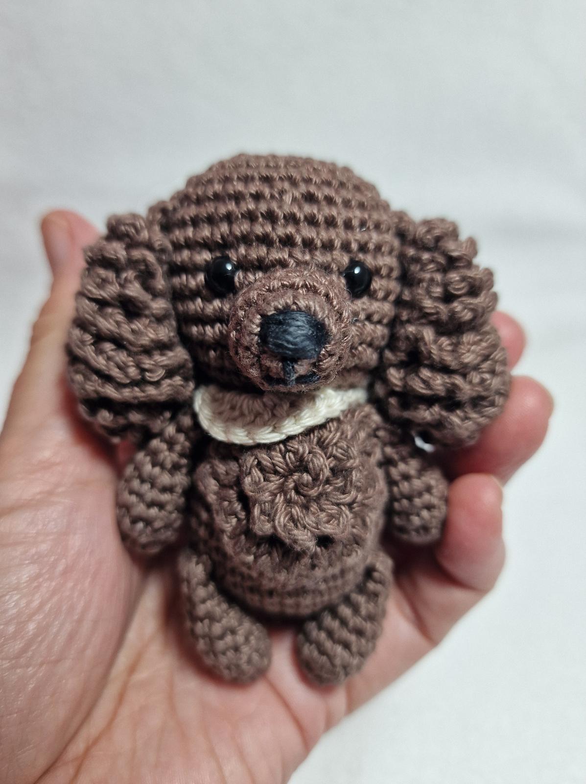 Spaniel Dog