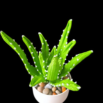 Crochet Aloe Vera plant