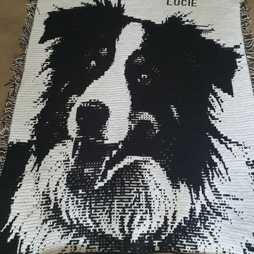 Overlay Mosaic "BORDER COLLIE 2"