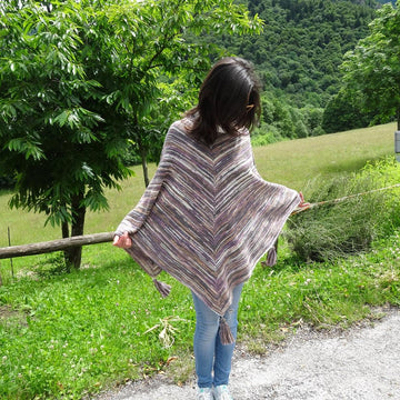 Colori nel vigneto