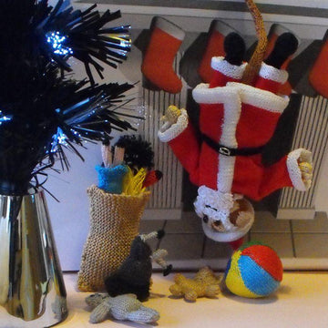 Sunny's Santa Suit