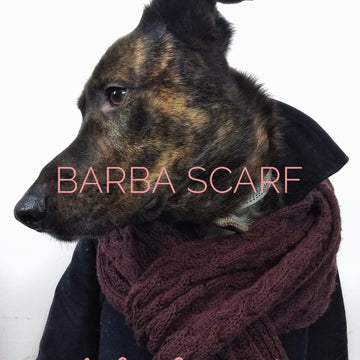 Barba Scarf