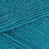 Kingfisher (771)