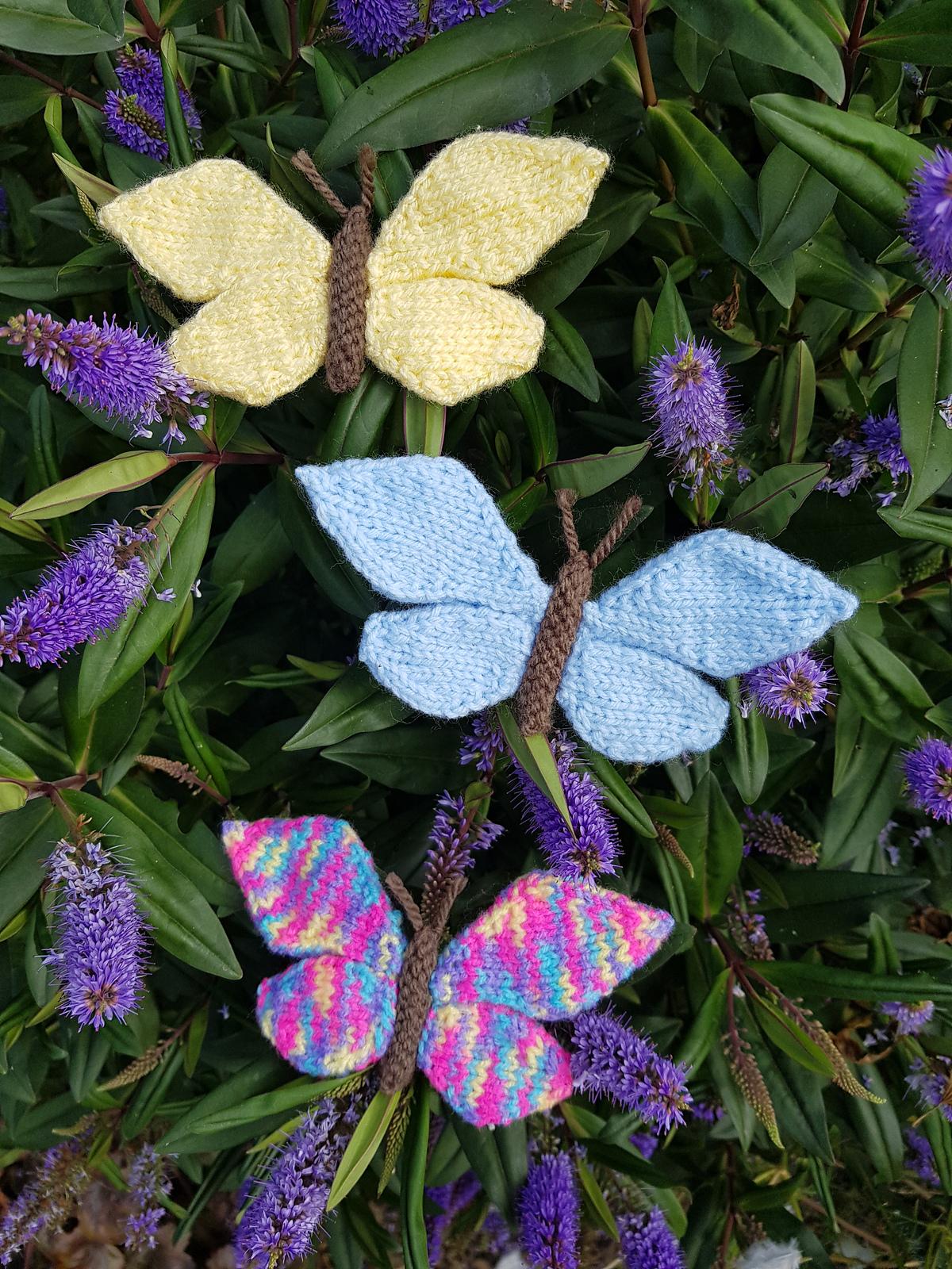 Butterfly