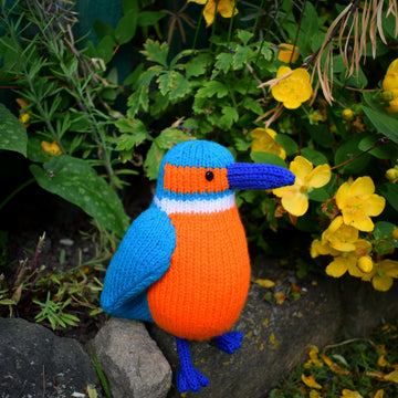 Kenneth the Kingfisher