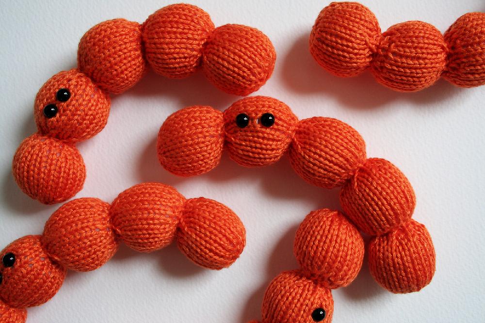 Streptococcus Chain