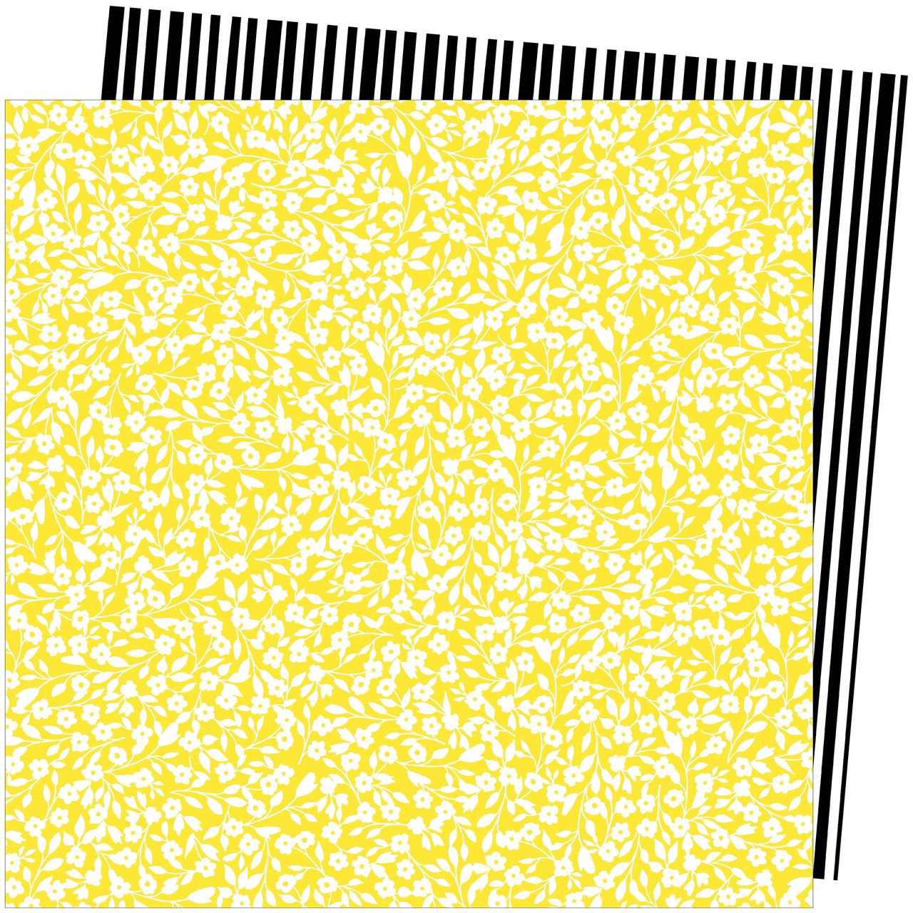 American Crafts Amy Tan Picnic In The Park Double-Sided Cardstock 12"X12" 25/Pkg - Lovely Lass