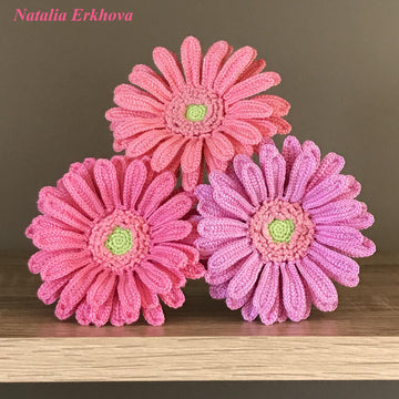 Gerbera