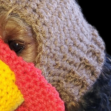 Turkey Dog Hat