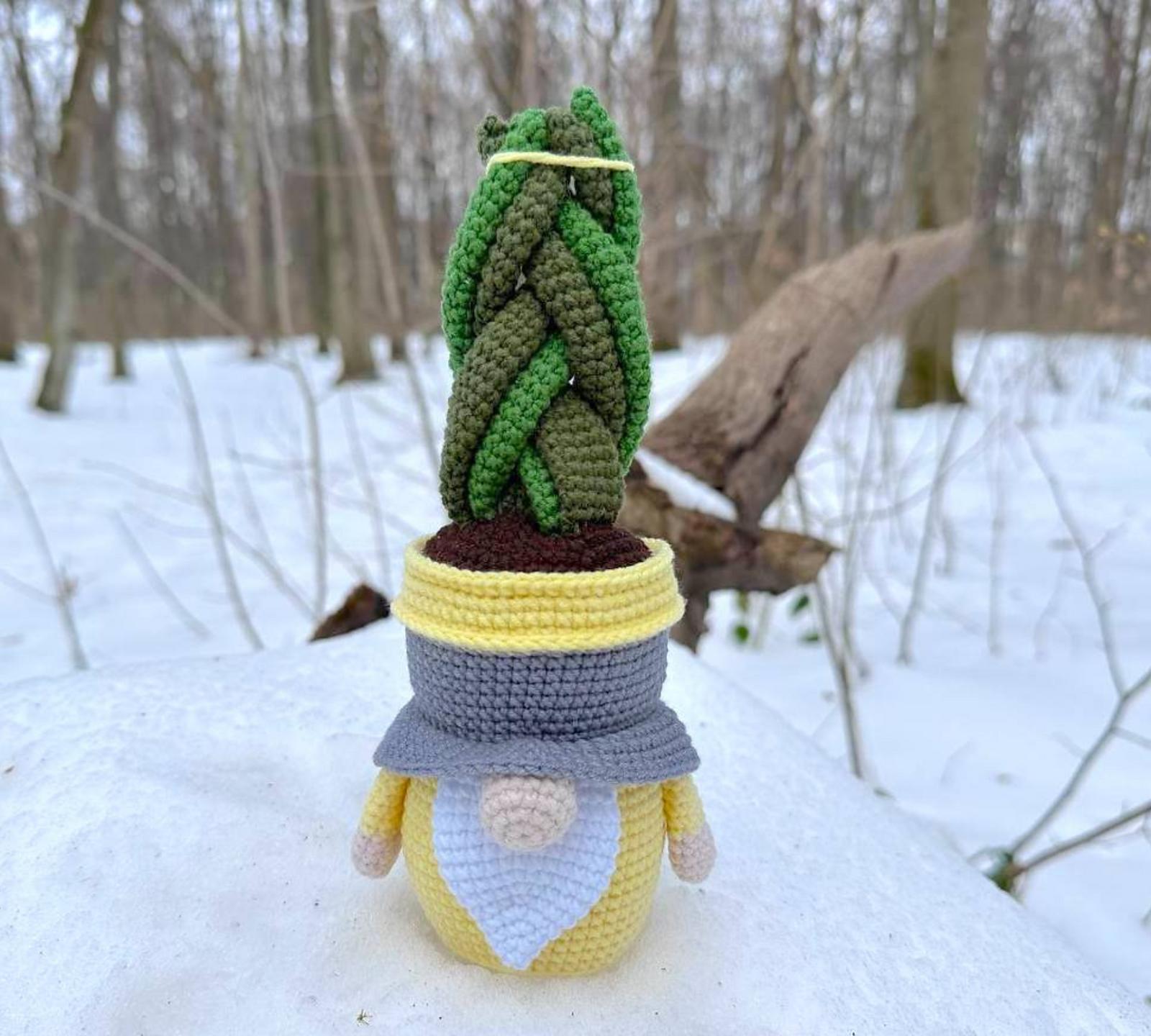 Gnome succulent-sansevieria 2