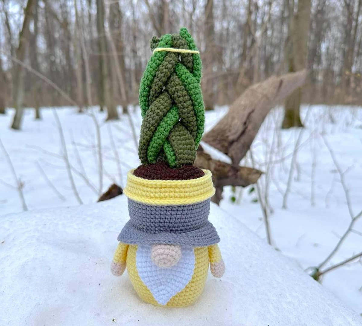 Gnome succulent-sansevieria 2