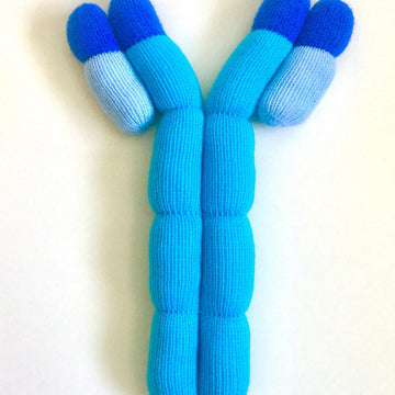 Giant Antibodies (IgG and IgE)