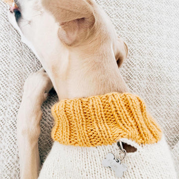Doggo no 2 sweater