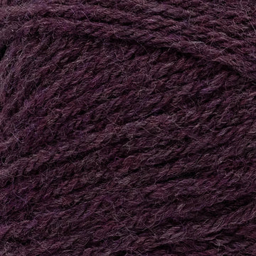 Eggplant (159)