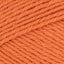 Pumpkin Patch (458)