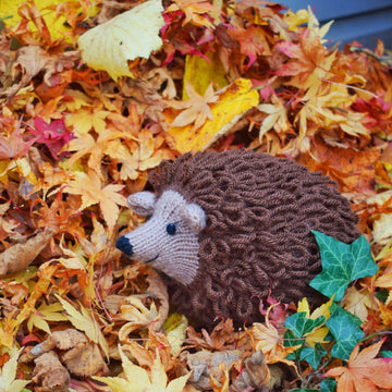 Hector the Hedgehog