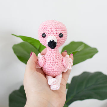 Baby Flamingo
