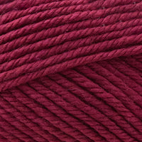 Raspberry (39)