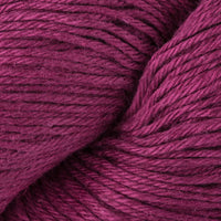 Raspberry (02)