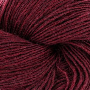 Cranberry Compote (2310)